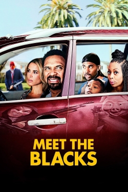 Watch Meet the Blacks Full Movies Free HD Online 123Movies Alternative Sites | MegaMads.tv