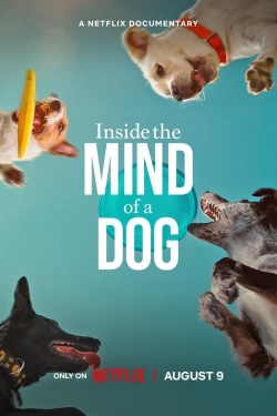 Watch Inside the Mind of a Dog Full Movies Free HD Online 123Movies Alternative Sites | MegaMads.tv