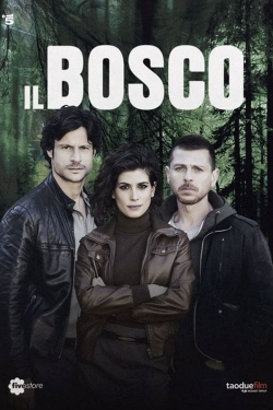 Watch O Bosque Escuro Full Movies Free HD Online 123Movies Alternative Sites | MegaMads.tv