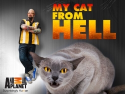 Watch My Cat from Hell Full Movies Free HD Online 123Movies Alternative Sites | MegaMads.tv