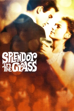 Watch Splendor in the Grass Full Movies Free HD Online 123Movies Alternative Sites | MegaMads.tv