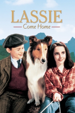 Watch Lassie Come Home Full Movies Free HD Online 123Movies Alternative Sites | MegaMads.tv