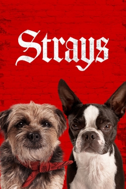 Watch Strays Full Movies Free HD Online 123Movies Alternative Sites | MegaMads.tv