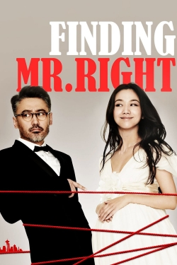 Watch Finding Mr. Right Full Movies Free HD Online 123Movies Alternative Sites | MegaMads.tv