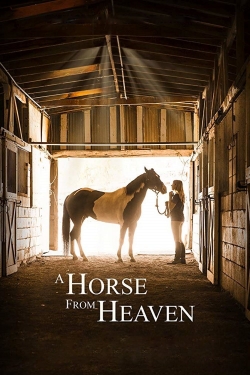 Watch A Horse from Heaven Full Movies Free HD Online 123Movies Alternative Sites | MegaMads.tv